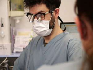 Missing teeth - options